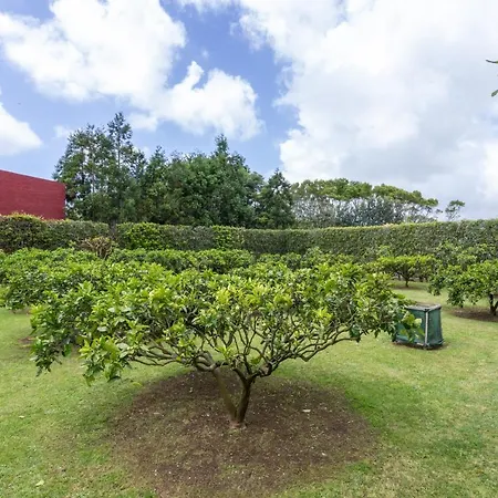 Quinta Da Paz Azores Appartamento